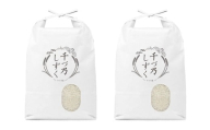 【令和7年産】福岡県産 夢つくし〈千づ乃しずく〉 約10kg（約5kg×2袋） 精米 S002【2025年9月下旬～2026年2月下旬発送予定】 お米 米 白米