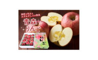 ＜青森県発＞なみおかりんご(サンふじ) 家庭用 約2.5kg以上【1635663】