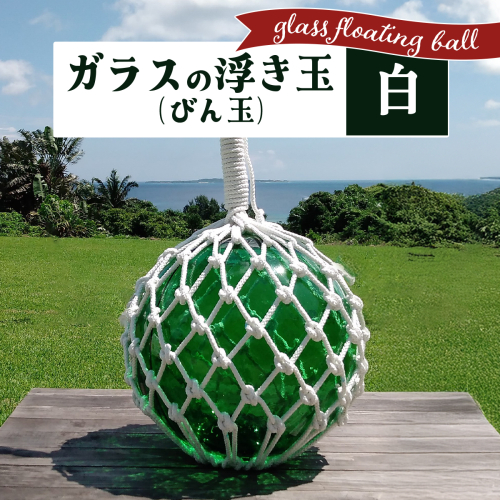 ガラスの浮き玉（びん玉）白 2172286 - 沖縄県竹富町