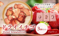 ドライ苺3個セット《30日以内に出荷予定(土日祝除く)》有限会社 ミカモフレテック ドライ 苺 イチゴ 送料無料 徳島県 美馬市