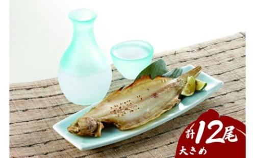 浜田の上品笹カレイ・大き目肉厚水カレイ2種食べ比べセット計12尾 【198_0002】 2172503 - 島根県浜田市