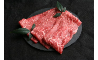 【11月お届け】【 近江牛 すき焼き用 赤身 280g 】 黒毛和牛 冷凍 肉 牛肉 ふるさと納税 ブランド牛 近江牛 三大和牛 和牛 すき焼き しゃぶしゃぶ 肉じゃが 滋賀県 竜王