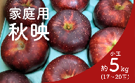 KR38-25A りんご 秋映 家庭用 小玉 約5㎏（17～20玉） / 10月上旬頃～配送予定 // 長野県 南信州 松川町産 リンゴ 林檎 訳あり 自家用 家庭用 あきばえ 農家直送 農家支援 産地直送