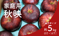 KR29-25A りんご 秋映 家庭用 通常サイズ 約5㎏（10～16玉） / 10月上旬頃～配送予定 // 長野県 南信州 松川町産 リンゴ 林檎 訳あり 自家用 家庭用 あきばえ 農家直送 農家支援 産地直送