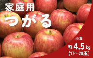 KR37-25A りんご つがる 家庭用 小玉 約4.5㎏（17～20玉） / 8月下旬頃～配送予定 // 長野県 南信州 松川町産 自家用 訳あり リンゴ 林檎 早生りんご 農家直送 農家支援 産地直送 約5kg
