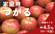 KR28-25A りんご つがる 通常 家庭用 約4.5㎏（10～16玉） / 8月下旬頃～配送予定 // 長野県 南信州 松川町産 自家用 訳あり リンゴ 林檎 早生りんご 農家直送 農家支援 産地直送 約5kg