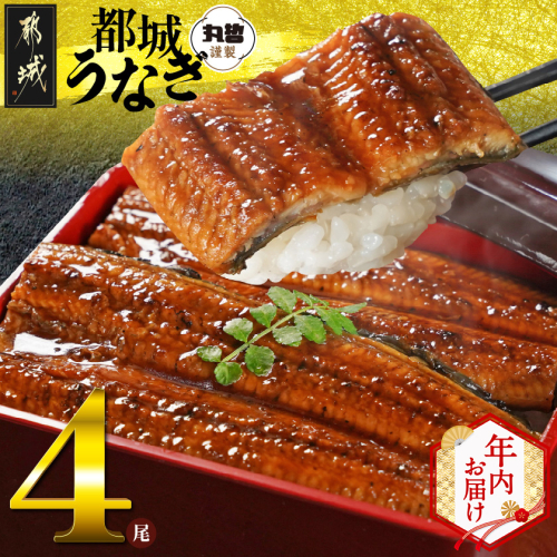 【年内お届け】宮崎県育ちのうなぎ蒲焼4尾720g以上≪山椒・たれ付≫≪2025年12月15日～31日お届け≫_AE-M301-HNY 2173192 - 宮崎県都城市