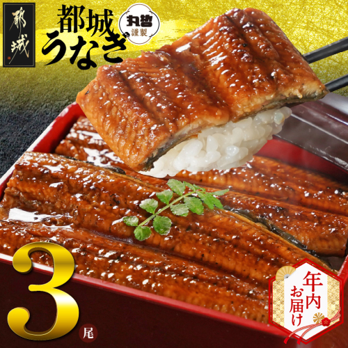 【年内お届け】宮崎県育ちのうなぎ蒲焼3尾500g以上≪山椒・たれ付≫≪2025年12月15日～31日お届け≫_AC-M301-HNY 2173193 - 宮崎県都城市