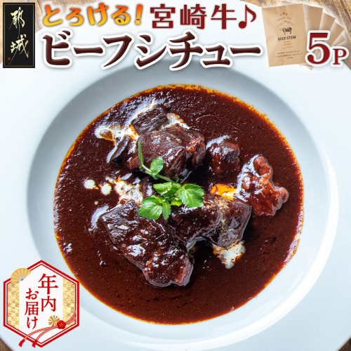 【年内お届け】とろける宮崎牛ビーフシチュー5パックセット≪2025年12月15日～31日お届け≫_MJ-H301-HNY 2173198 - 宮崎県都城市