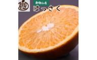 ＜先行予約＞厳選はっさく2.5kg+250g（傷み補償分）【八朔みかん】＜1月より発送＞※北海道・沖縄・離島への配送不可【ikd138A】