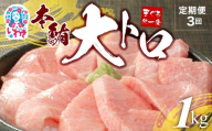 【定期便/計3回】本マグロ大トロずっしり1kg（計3kg）|本マグロ 大トロ ＆ 中トロ ネギトロ づけ  中とろ 海鮮丼 や 手巻き寿し