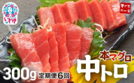 【定期便/計6回】本マグロ中トロ300g（計1.8kg）|解凍レシピ付 1サクずつ真空包装  脂の甘みと濃厚赤身が絶妙なバランス