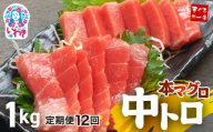 【定期便/計12回】本マグロ中トロ1kg（計12kg）|解凍レシピ付 1サクずつ真空包装  脂の甘みと濃厚赤身が絶妙なバランス