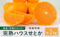柑橘の大トロ！完熟ハウスせとか 1kg 2026年2月中旬～発送予定【フルーツ 人気 お取り寄せ 産地直送 もりの農園 ドルチェみかん みかん せとか 柑橘 果物 フルーツ 産地直送 人気 おすすめ 瀬戸内 広島県  尾道市】