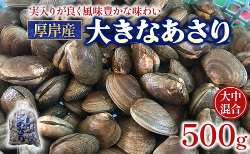 北海道 厚岸産 あさり 500g×1パック (合計500g) 大中混合 アサリ 魚貝 海 美味しい 栄養 旨み 砂出し 水洗い 冷蔵 冷凍保存可能 便利 2173982 - 北海道厚岸町