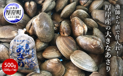 北海道 厚岸産 あさり 500g×1パック (合計500g) 大中混合 アサリ 魚貝 海 美味しい 栄養 旨み 砂出し 水洗い 冷蔵 冷凍保存可能 便利 2173982 - 北海道厚岸町