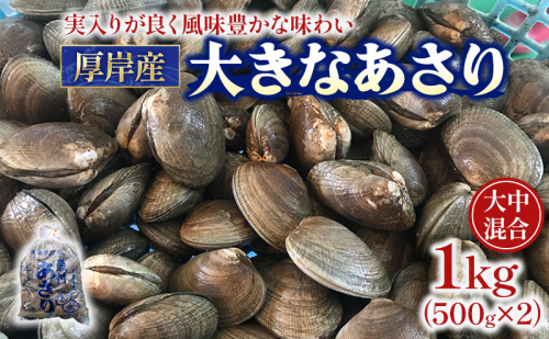 北海道 厚岸産 あさり 500g×2パック (合計1kg) 大中混合 アサリ 魚貝 海 美味しい 栄養 旨み 砂出し 水洗い 冷蔵 冷凍保存可能 便利 2173983 - 北海道厚岸町