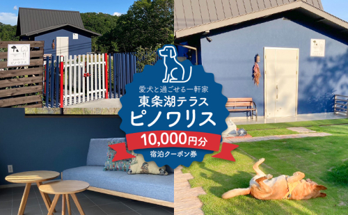 東条湖テラス ピノワリス 宿泊クーポン券 1万円分 愛犬と過ごせる一軒家　宿泊 旅行 クーポン ドッグラン 愛犬 犬 東条湖 加東市 2174003 - 兵庫県加東市