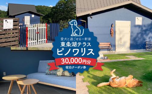 東条湖テラス ピノワリス 宿泊クーポン券 3万円分 愛犬と過ごせる一軒家　宿泊 旅行 クーポン ドッグラン 愛犬 犬 東条湖 加東市 2174012 - 兵庫県加東市