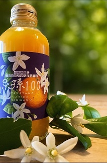 糸孫農園の100％みかんジュース「糸孫100」180ml 6本ギフトセット（A1043-1） 2174156 - 和歌山県有田市