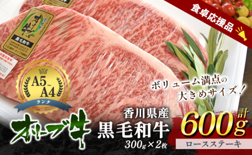 「9月30日までの期間限定」香川県産黒毛和牛オリーブ牛「ロースステーキ 300g×2枚」数量限定 サーロインステーキ お肉 牛肉 2174167 - 香川県東かがわ市