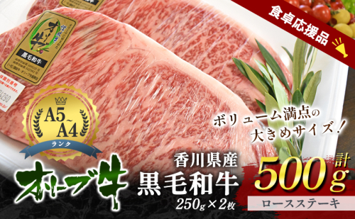 「9月30日までの期間限定」香川県産黒毛和牛オリーブ牛「ロースステーキ 250g×2枚」数量限定 サーロインステーキ お肉 牛肉 2174168 - 香川県東かがわ市