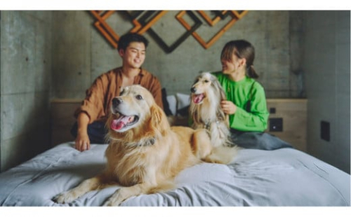 【愛犬と一緒に泊まれるホテル・1HOTEL】ふるさと納税宿泊ギフト券30,000円分 2174171 - 静岡県静岡市