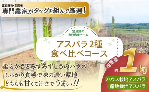 【2026年春発送】富良野産 アスパラ 食べ比べ 全2回定期便 アスパラ ハウス栽培 露地栽培 北海道 富良野市 緑アスパラ 野菜 とれたて 朝採り 食べくらべ 定期便 数量限定 2174203 - 北海道富良野市