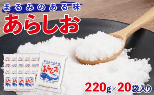 あらしお 220g×20袋入り◇ 2174471 - 静岡県静岡市