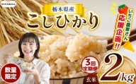 【令和7年度新米先行予約】【栃木県共通返礼品】【数量限定】【3回定期便】令和7年度新米 栃木県産コシヒカリ 2kg |定期便 数量限定 こしひかり  玄米 米 ごはん おいしい  玄米真空パック ふるさと納税 那珂川町 栃木県