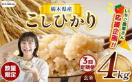 【令和7年度新米先行予約】【栃木県共通返礼品】【数量限定】【3回定期便】令和7年度新米 栃木県産コシヒカリ 4kg |定期便 数量限定 こしひかり  玄米 米 ごはん おいしい  玄米真空パック ふるさと納税 那珂川町 栃木県
