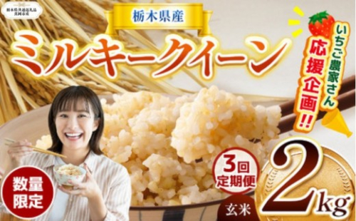 【栃木県共通返礼品】【定期3回】訳あり 数量 限定 定期便 令和8年度産 ミルキークイーン 約 2kg | とちぎの星 ミルキークイーン 玄米 白米 ごはん おいしい ふるさと納税 栃木県 那珂川町 送料無料 2174516 - 栃木県那珂川町