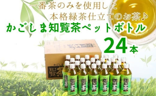 051-01 かごしま知覧茶ペットボトル24本 217460 - 鹿児島県南九州市