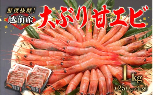 【選べる容量！】【小分け】越前産冷凍甘えび大サイズ 約250g × 4パック 合計約1.0kg [B-11029] /甘えび 甘エビ えび 大ぶり甘エビ 海老 海鮮 刺身 冷凍  福井県 鯖江市 2174667 - 福井県鯖江市