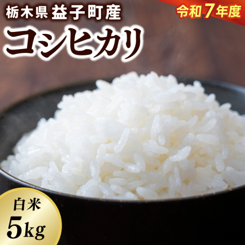 ＼令和7年産・先行予約／【数量限定】あい　farm　やなぎのお米　令和7年産 コシヒカリ 白米 5kg | 栃木県 益子町 ふるさと納税 お米 米 5kg 白米 (DQ007) 2174857 - 栃木県益子町
