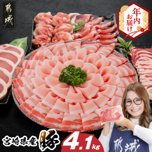 【年内お届け】宮崎県産豚わくわく4.1kgセット(真空)≪2025年12月15日～31日お届け≫_AC-8403-s-HNY 2174915 - 宮崎県都城市