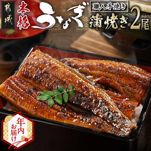 【年内お届け】職人手焼きの本格うなぎ蒲焼き2尾≪2025年12月15日~31日お届け≫_MJ-3305-HNY 2174916 - 宮崎県都城市