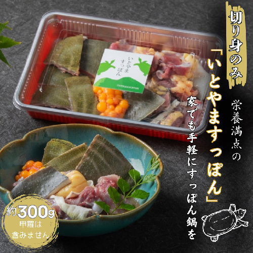 【切り身のみ】栄養満点の「いとやますっぽん」ですっぽん鍋を 300g：B205-011 2174921 - 佐賀県佐賀市