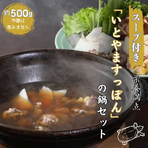 【スープ付き】栄養満点「いとやますっぽん」の鍋セット 500g：B350-002 2175019 - 佐賀県佐賀市