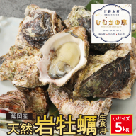 延岡産天然岩牡蠣（生食用）5kg（小）（2025年4月から発送開始） N036-YB305
