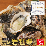 延岡産天然岩牡蠣（生食用）5kg（中）（2025年4月から発送開始 N036-YB306