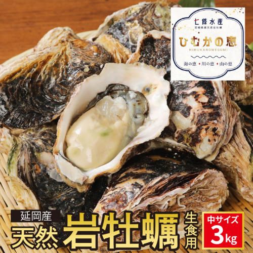 延岡産天然岩牡蠣(生食用)3kg(中)(2025年4月から発送開始) N036-YZA526 2175089 - 宮崎県延岡市