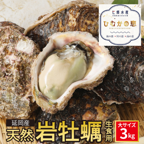 延岡産天然岩牡蠣(生食用)3kg(大)(2025年4月から発送開始) N036-YZA527 2175090 - 宮崎県延岡市