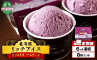 【定期便6ヶ月】リッチアイスクリーム 手摘みカシスとクリームチーズ　8個セット（100ml）