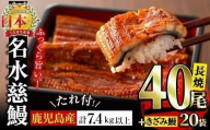 【二の丑(7/31)までに配送】鹿児島県産うなぎ蒲焼 名水慈鰻 40尾(1尾約160g)+きざみ鰻20袋(1袋約50g)＜合計約7.4kg＞ wb82-001-us2