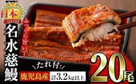 【二の丑(7/31)までに配送】鹿児島県産うなぎ蒲焼 名水慈鰻 20尾(1尾約160g)＜計約3.2kg＞ wa4-001-us2
