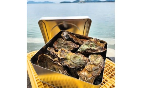 広島　安芸津産　殻付き牡蠣　カンカン焼き　約15～20個 2175453 - 広島県東広島市