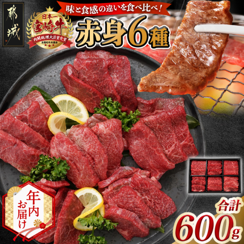 【年内お届け】宮崎牛赤身6種600g≪2025年12月15日~31日お届け≫_16-2601-HNY 2175497 - 宮崎県都城市