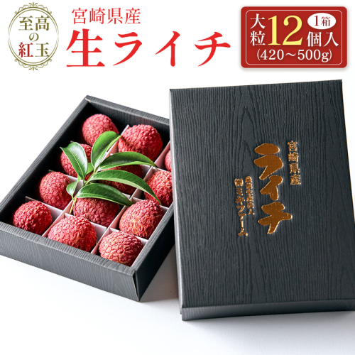 ［2026年発送］先行予約＜限定50セット＞宮崎県産 生ライチ「至高の紅玉」大粒12個入 人気 国産 希少 果物 旬 ギフト プレゼント【C366】 2175509 - 宮崎県新富町