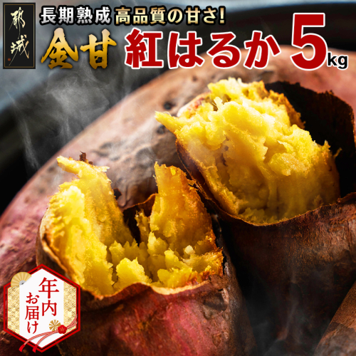 【年内お届け】都城産 長期熟成紅はるか 5kg≪2025年12月15日～31日お届け≫_AA-I202-HNY 2175512 - 宮崎県都城市